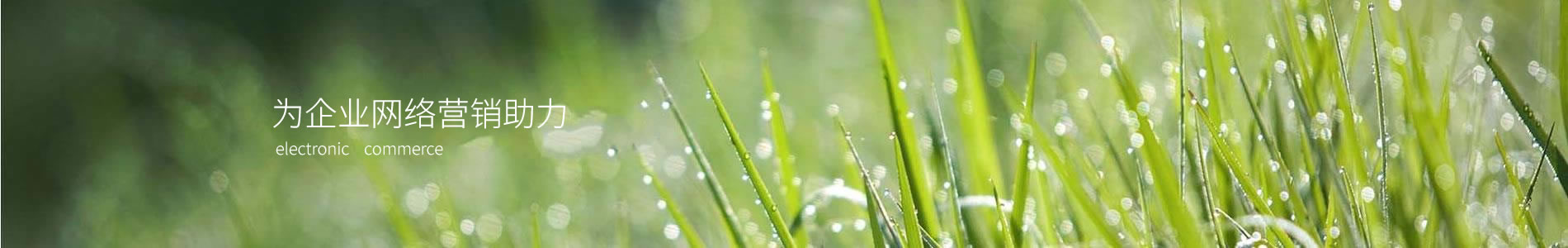 żҸке޹˾
